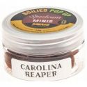 KULKI MEUS SPECTRUM POP UP 12mm MINIS CAROLINA REA