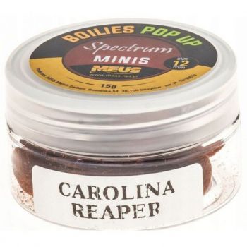 KULKI MEUS SPECTRUM POP UP 12mm MINIS CAROLINA REA