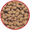 DUMBELLS MATCH PRO TOP TIGER NUT 7mm 25g