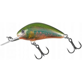 WOBLER SALMO H5F HORNET FLOATING 5cm 7g OIKAWA