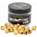 ORZECH TYGRYSI CARP OLD SCHOOL WHITE ORZECH KOKOS