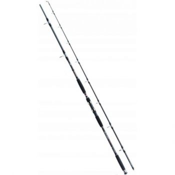 WĘDKA JAXON ECLATIS CAT FISH 2,85m 500g CATFISH