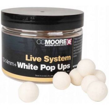KULKI CC MOORE LIVE SYSTEM...