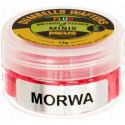 DUMBELLS MEUS WAFTERS FLUO 6mm MINIS MORWA