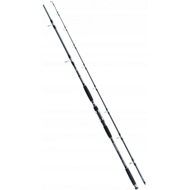WĘDKA JAXON ECLATIS CAT FISH 3,00m 450g CATFISH