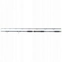 WĘDKA JAXON ECLATIS CAT FISH 3,00m 450g CATFISH