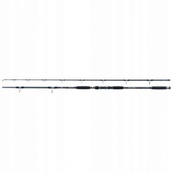 WĘDKA JAXON ECLATIS CAT FISH 3,00m 450g CATFISH