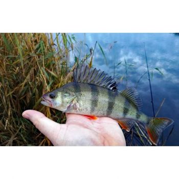 BŁYSTKA OBROTOWA MIKADO KOLOR: 29 8g ROZ. 4