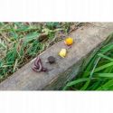 HACZYKI PRESTON KKH BARBED HOOKS SIZE 14 10szt