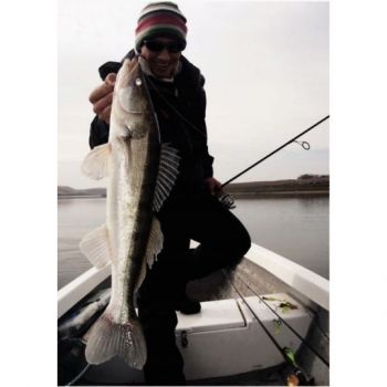 GUMA PRZYNĘTA FOX RAGE ZANDER PRO ULTRA 10cm PERC