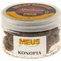 KULKI MEUS HAKOWE SPECTRUM TONĄCE 12mm KONOPIA