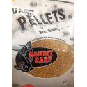 PELLET BANDIT CARP POWER SHOT 2mm EUPHORIA 1kg
