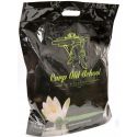 KUKURYDZA CARP OLD SCHOOL ZANĘTOWA 5kg ANANAS