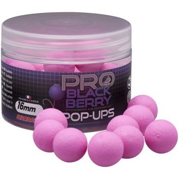 KULKI STARBAITS BLACKBERRY POP UP 12mm 50g