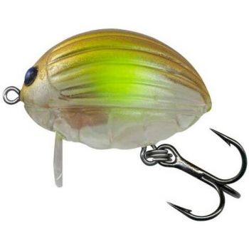 WOBLER SALMO LIL' BUG 3cm CLEAR AYU PŁYWAJĄCY