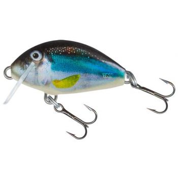 WOBLER SALMO TINY 3cm 2g HOLO SMELT TONĄCY