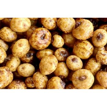 ORZECH TYGRYSI MIVARDI 1kg 