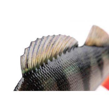 GUMA FOX RAGE 14cm UZBROJONA ULTRA REALISTIC PERCH