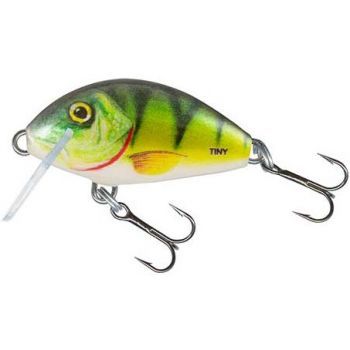 WOBLER SALMO IT3F TINY 3cm 2g PERCH PŁYWAJĄCY NEW