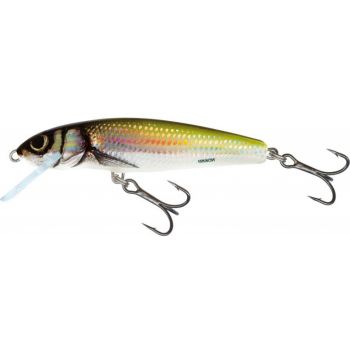 WOBLER SALMO MINNOW M6F 6cm HOLO BLEAK PŁYWAJĄCY