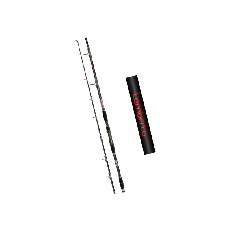 WĘDKA MISTRALL LAMBERTA CATFISH EX HEAVY 2,85m 500