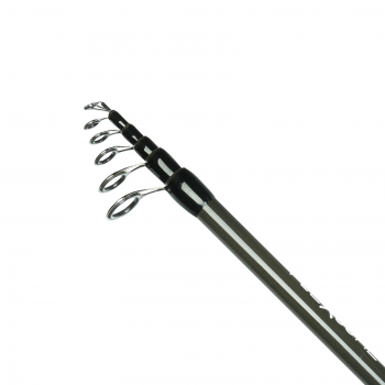 WĘDKA ROBINSON FLEXCORE TELE CARP 3,30m 40-80g