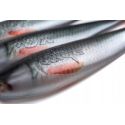GUMA FOX RAGE ZANDER PRO UV 7,5cm NATURAL ROACH