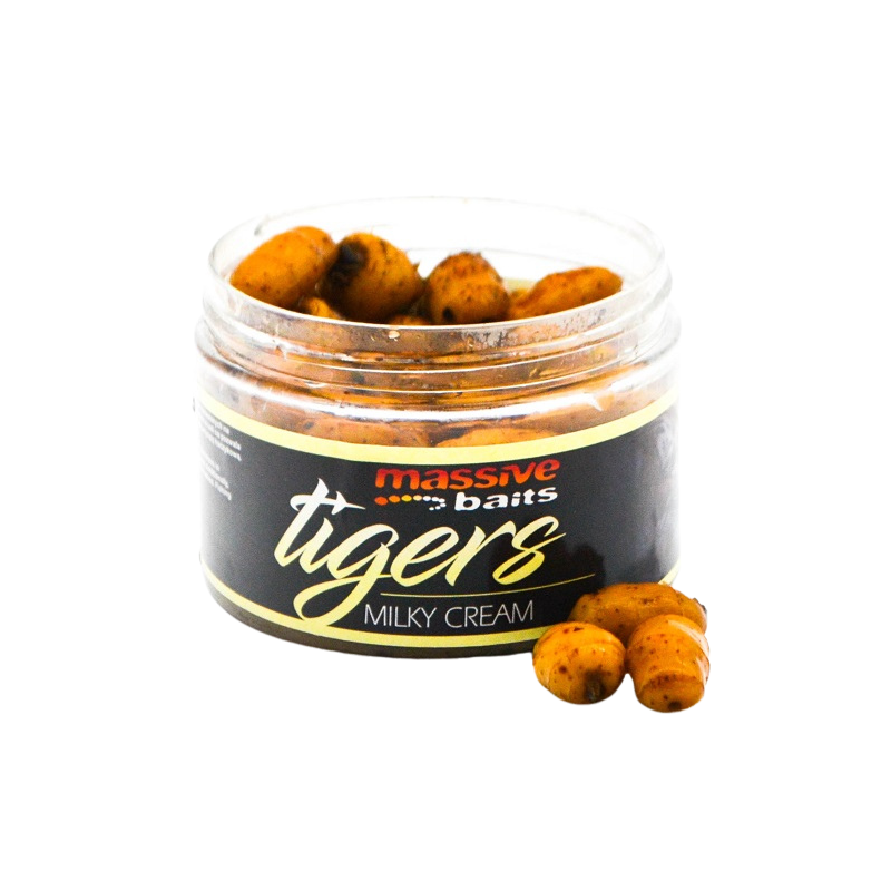 ORZECH TYGRYSI MASSIVE SWEET TIGERS MILKY CREAM XL