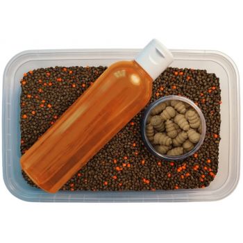 MULTIPACK FEEDER BAIT...