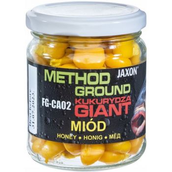 KUKURYDZA JAXON GIGANT...