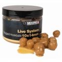 KULKI CC MOORE LIVE SYSTEM W ZALEWIE GLUGGED 10x15