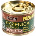 PSZENICA JAXON PREMIUM ZIARNO 70g NATURALNA