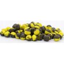 DUMBELLS MATCH PRO TOP WAFTERS DUO SCOPEX 10mm 25g