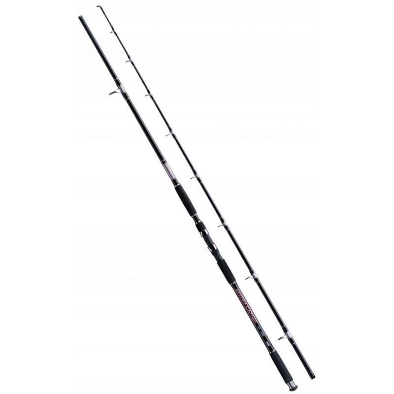 WĘDKA JAXON ZAFFIRA CATFISH RT 3,00m 550g SUMOWA