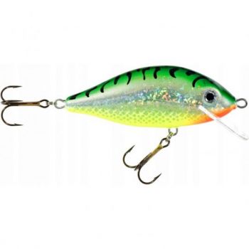 WOBLER JAXON HOLO SELECT KARAŚ F ST 5,5cm 6g